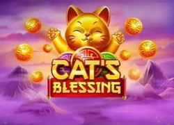 Cats Blessing